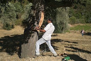 tiradores, cork peelers